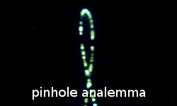pinhole analemma