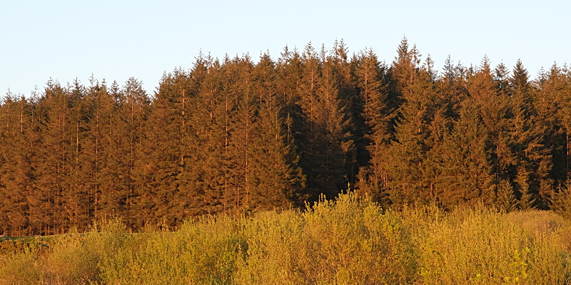 location photo