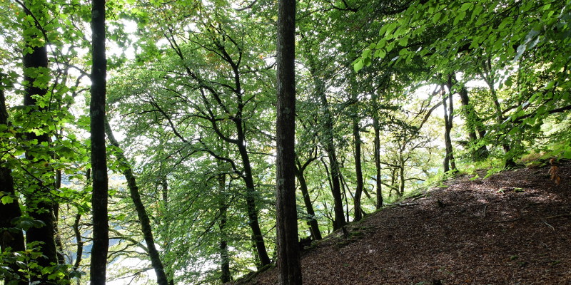 location photo