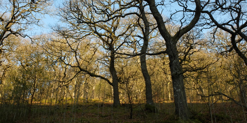 location photo