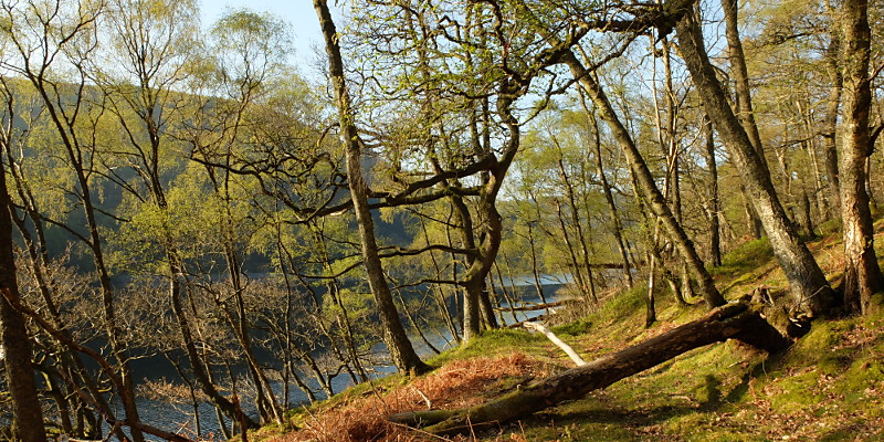 location photo