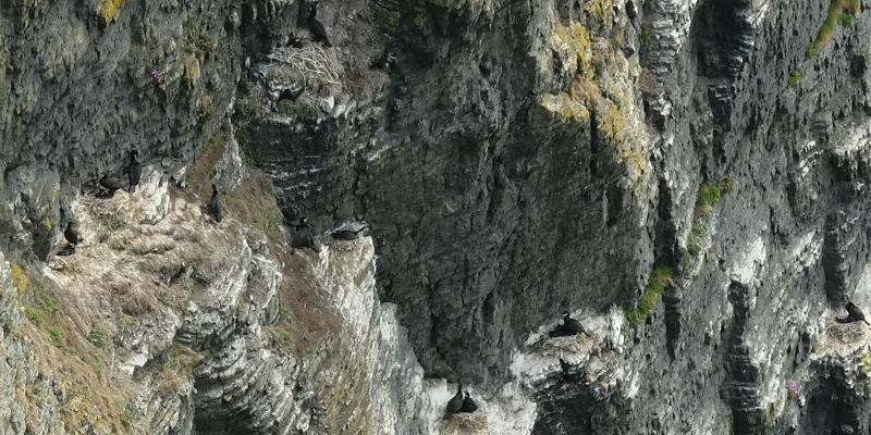 location photo
