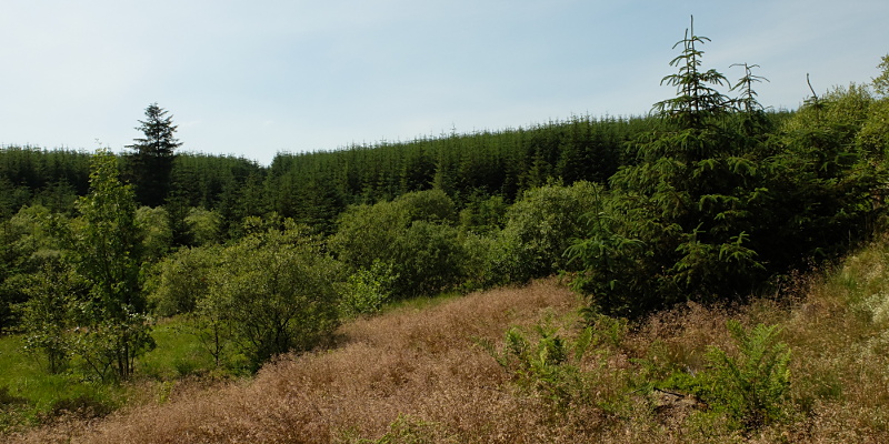 location photo