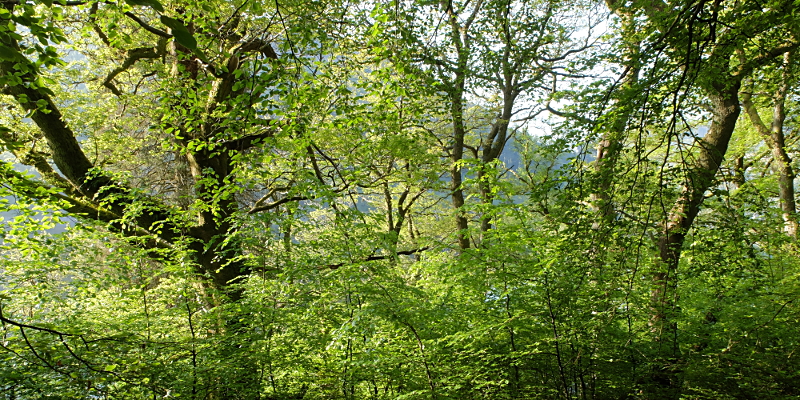 location photo