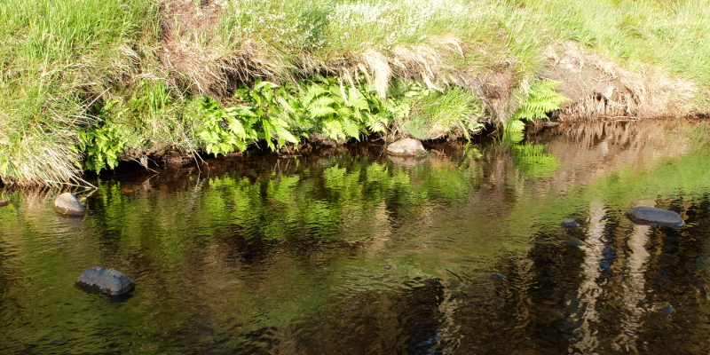 location photo