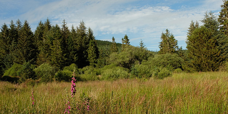 location photo