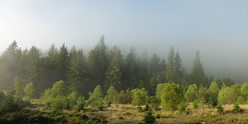 location photo