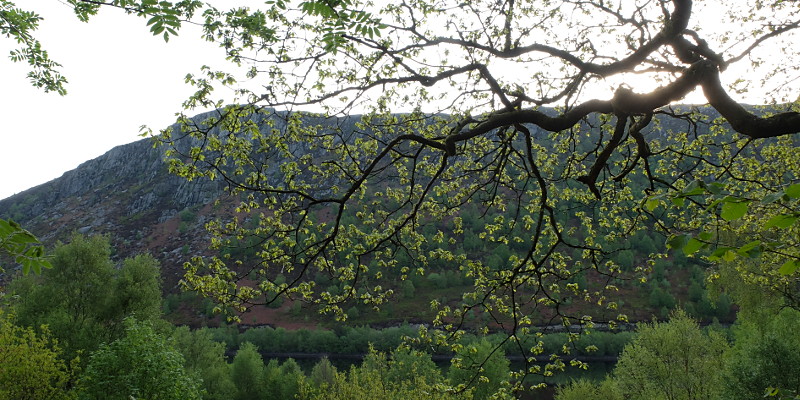 location photo