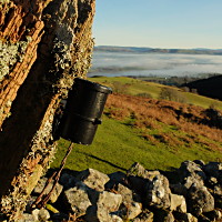 film can camera